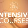 Introduccion a Español curso imersivo